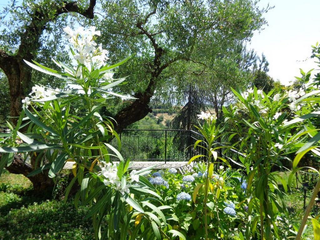 Villa Olcimia Capena Quarto foto